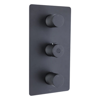 Ensemble De Douche/Baignoire Thermostatique: Pomme De Douche, Douchette Sur Rail, Valve Et Bec Fini Noir Mat